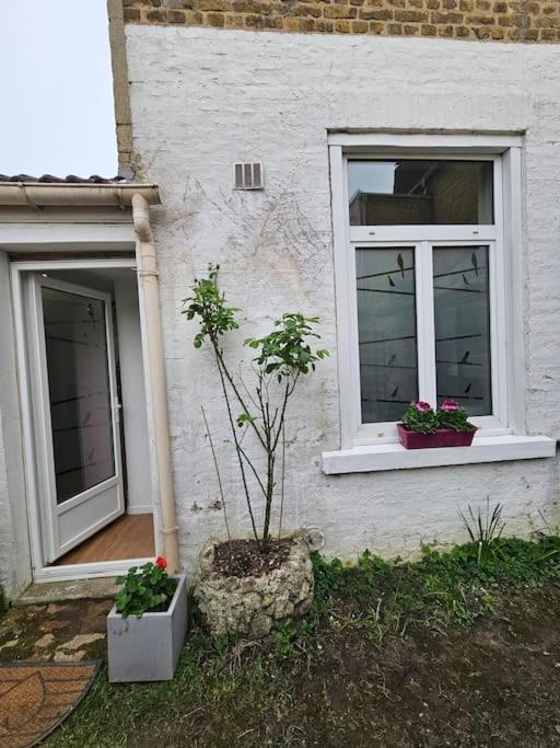 Studio Avec Jardin Rosendael Proche Plage ダンケルク エクステリア 写真